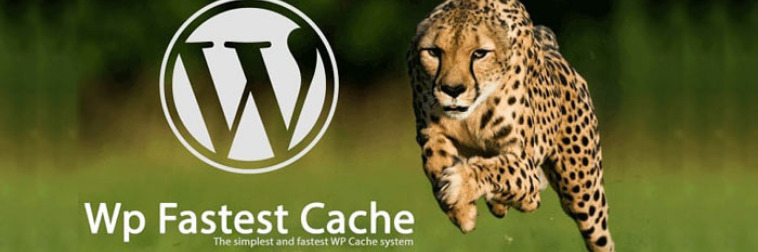 WP Fast Cache Pugin